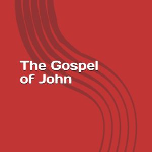 gospel of john scripture journal