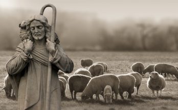 i am the good shepherd