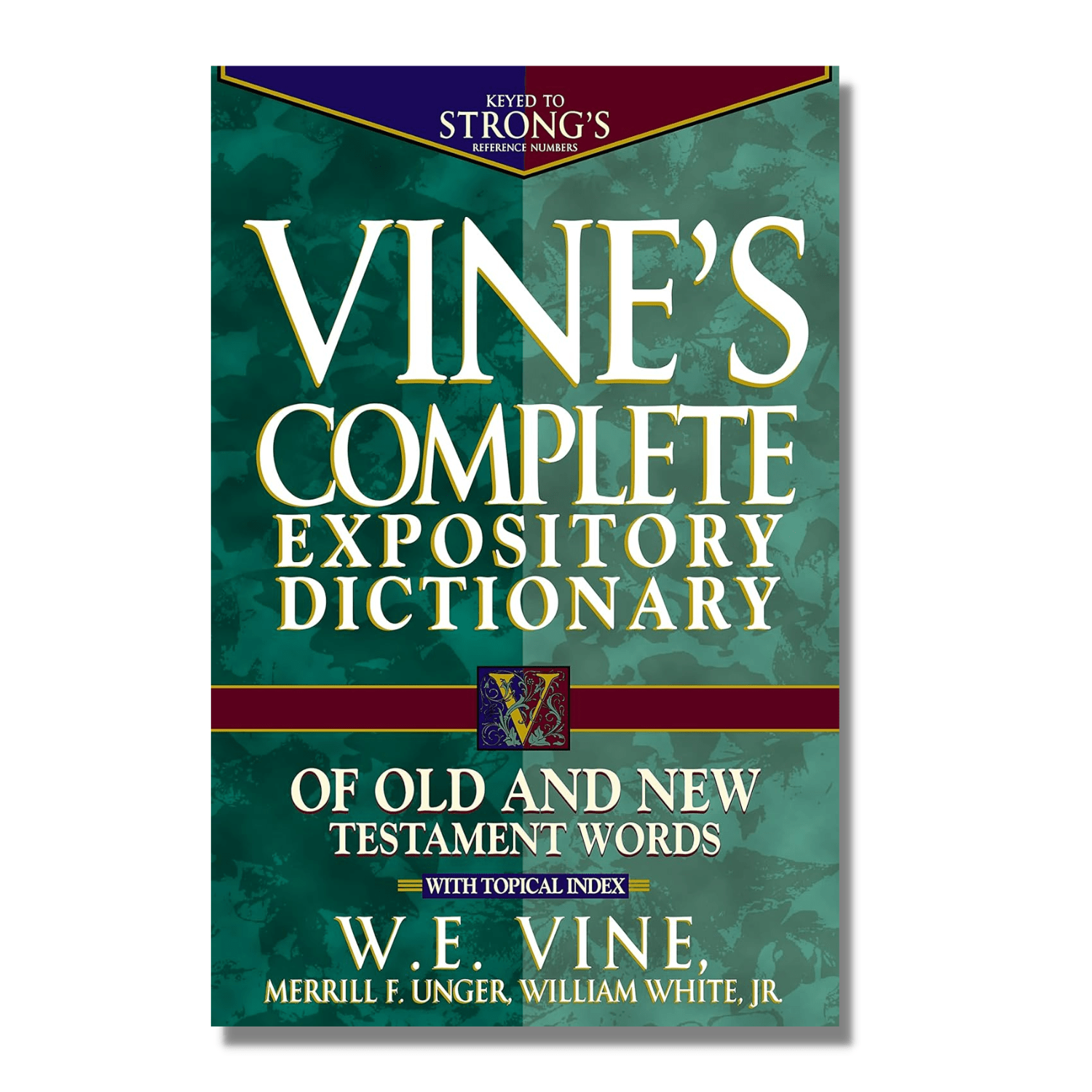 vines dictionary