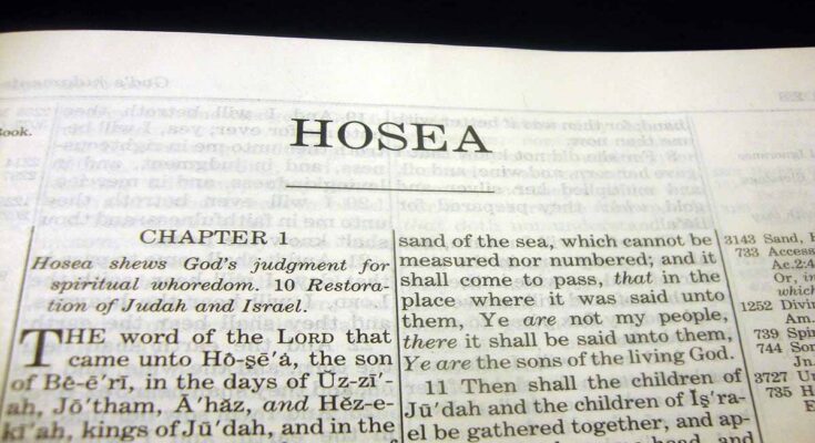 book of hosea