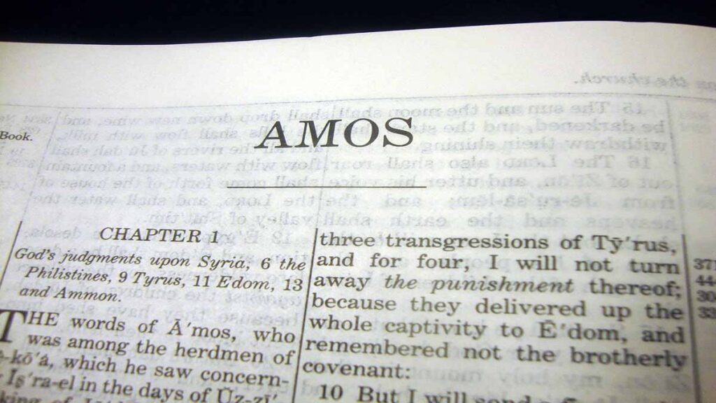 book of amos