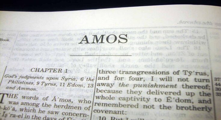 book of amos